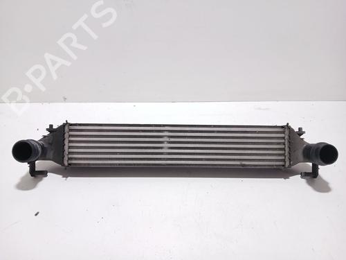 Used Intercooler JEEP RENEGADE SUV (BU, B1, BV) [2014-2025]  25282559