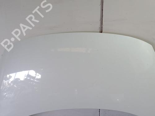 Hood RENAULT SCÉNIC III (JZ0/1_) 1.5 dCi | BP30150084C1 