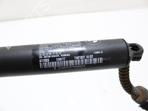 Tailgate lift support BMW X1 (F48) sDrive 18 d | BP19126838C138 