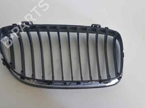 Grille BMW 3 (E90) 318 d | BP17703519C40 