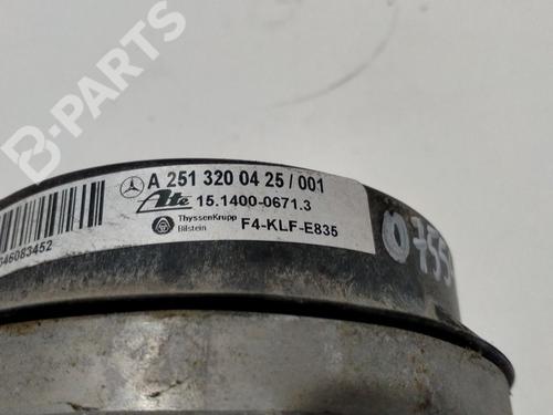 Left rear shock absorber MERCEDES-BENZ R-CLASS (W251, V251)  | BP9848147M18 