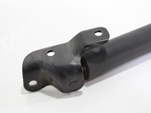 Tailgate lift support BMW 5 Touring (F11) 520 d | BP16422599C138 