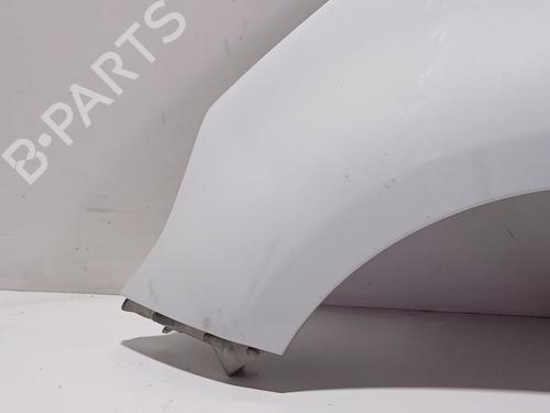 Left front fenders RENAULT SCÉNIC III (JZ0/1_) 1.5 dCi | BP30121405C41