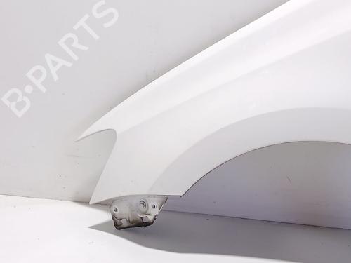 Left front fenders VW POLO V (6R1, 6C1) 1.6 TDI | BP29889818C41