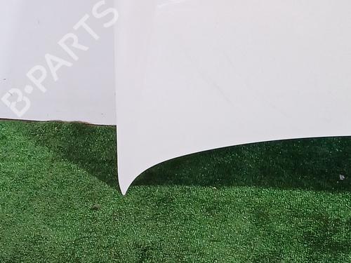 Hood VW POLO V (6R1, 6C1) 1.6 TDI | BP29924246C1