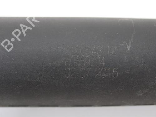 Tailgate lift support BMW 5 Touring (F11) 520 d | BP16422599C138 