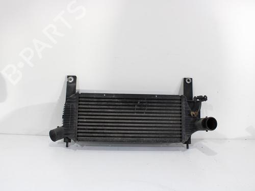 Intercooler NISSAN PATHFINDER III (R51) 2.5 dCi (174 hp) 12515113