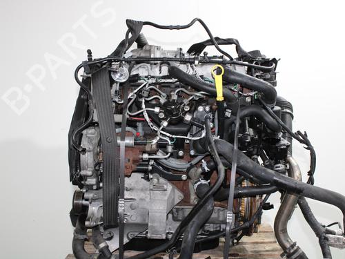 Engine FORD C-MAX (DM2) | BP16423216M1 - Image 3