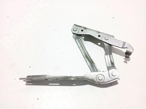 Used Hinge/Door check strap VW EOS (1F7, 1F8) 2.0 TDI 16V (140 hp) 30150881