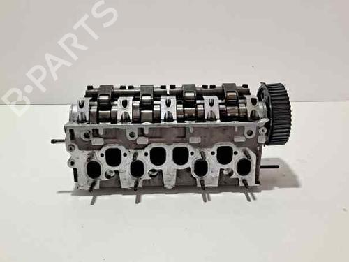 Used Cylinder head SEAT TOLEDO III (5P2) 1.9 TDI (105 hp) 10971160