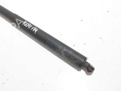 Tailgate lift support BMW X1 (F48) sDrive 18 d | BP19126836C138 