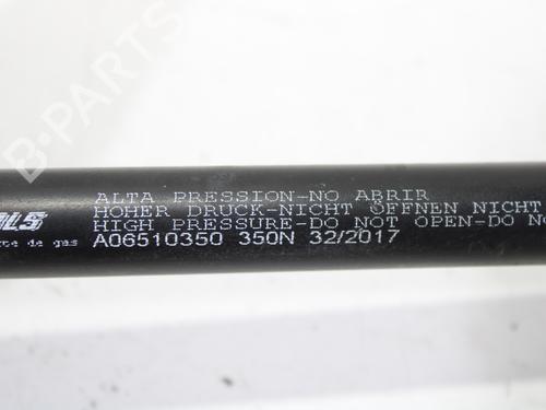 Tailgate lift support VOLVO XC90 I (275)  | BP17031198C138 