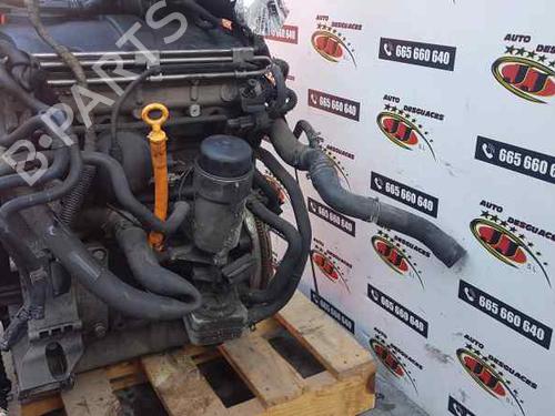 Engine VW GOLF IV (1J1) 1.9 TDI | BP5248595M1 
