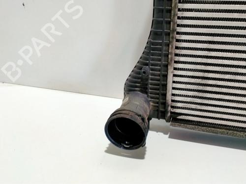 Intercooler SKODA OCTAVIA II Combi (1Z5) 2.0 TDI 4x4 | BP10693899M30 