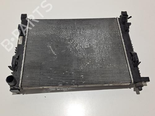 Water radiator DACIA LODGY (JS_)  | BP9627111M31