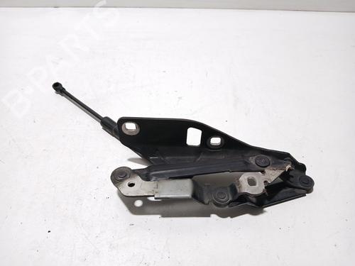 Used Hinge/Door check strap AUDI TT (8J3) 2.0 TDI quattro (170 hp) 29887325