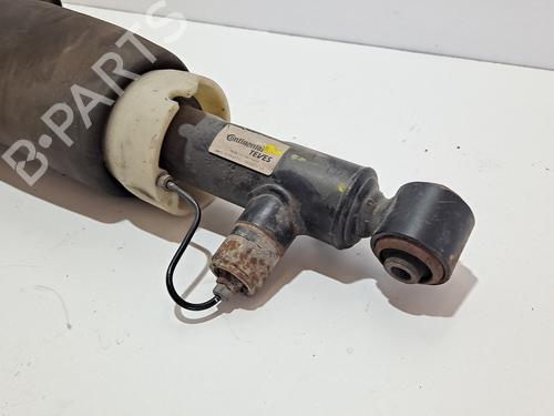 Venstre bak støtdemper AUDI ALLROAD C5 (4BH)  | BP17648043M18