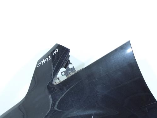 Left front fenders FORD C-MAX II (DXA/CB7, DXA/CEU)  | BP13421317C41 