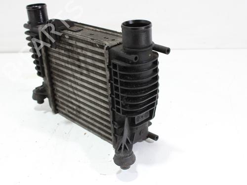 Intercooler NISSAN NV200 Van 1.5 dCi 110 (M20, M20N, M20M) | BP17980244M30 