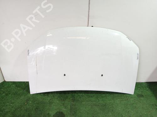 Used Hood DACIA SANDERO II 1.5 dCi 75 / Blue dCi 75 (B8JW, B8M4, B8AH, B8M7, B8M6) (75 hp) 24397141