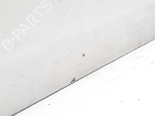 Right front door FORD TRANSIT CONNECT (P65_, P70_, P80_) 1.8 Di | BP19760414C3 