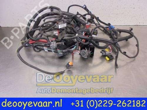 Kabelbaum für RENAULT CLIO IV (BH_) 0.9 TCe 90 (BHNF, BHMA, BHMH, BHJK, BHJR) (90 hp) 24408765