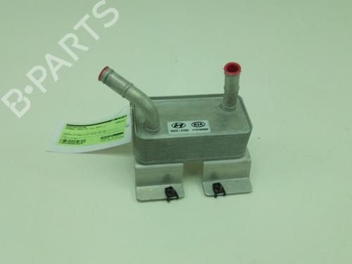 Used Other HYUNDAI IONIQ (AE) Electric (120 hp) 19755768