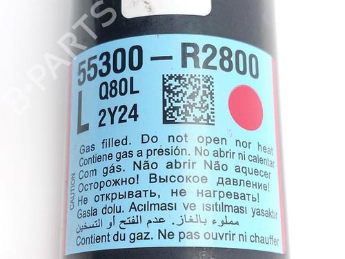 Left rear shock absorber KIA SPORTAGE V (NQ5) 1.6 T-GDi Hybrid | BP30519859M18 