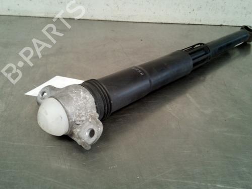Right rear shock absorber VW GOLF VII (5G1, BQ1, BE1, BE2) 1.6 TDI | BP19755205M19 