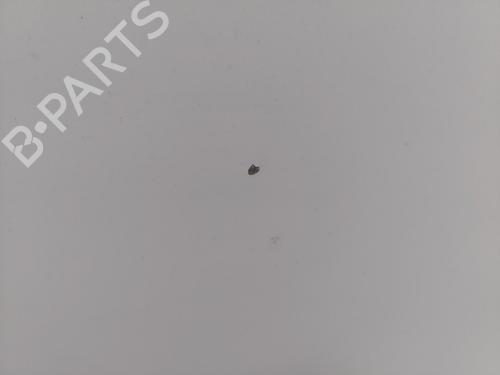 Hood RENAULT KANGOO Express (FW0/1_) 1.5 dCi 75 (FW07, FW10, FW04) | BP29511935C1 