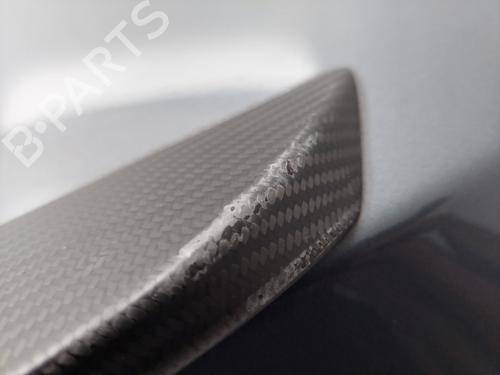 Tailgate TESLA MODEL S (5YJS) 85 | BP19766255C6 