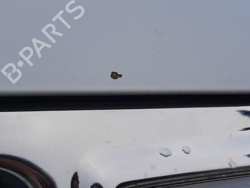 Hood DACIA DUSTER (HS_) 1.6 16V | BP21559759C1 
