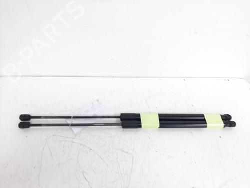 Tailgate lift support FORD FOCUS III 1.6 EcoBoost | BP19757323C138 