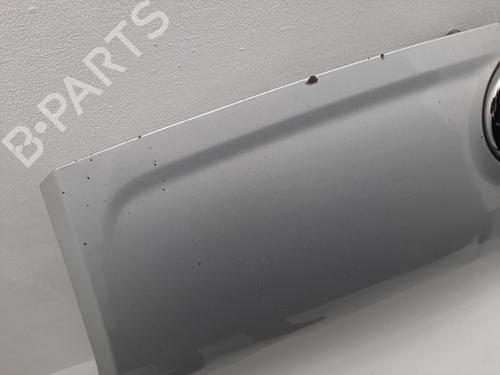 Hood FIAT FIORINO Box Body/MPV (225_) 1.3 D Multijet (225BXD1A, 225BXB1A, 225BXB11) | BP19760498C1 