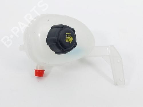 Ekpansionstank RENAULT MEGANE E-TECH SUV EV60 (BNJ1) (218 hp) 32198079