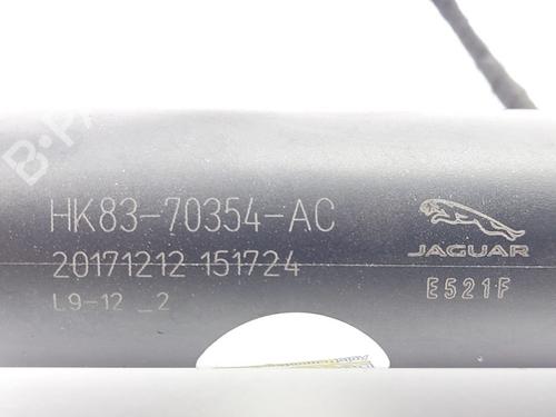 Elektronisk modul JAGUAR F-PACE (X761) 2.0 TD4 AWD | BP24016586M83 