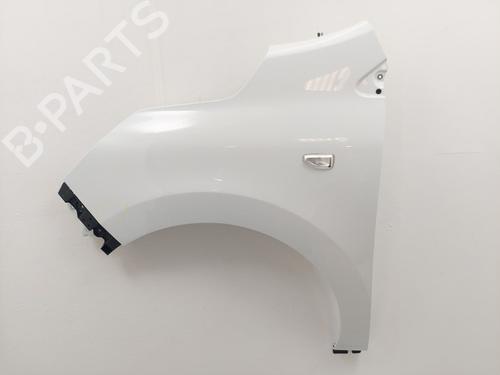 Guarda-lamas esquerdo RENAULT EXPRESS Box Body/MPV 1.5 Blue dCi 75 (F6AA) (75 hp) 21202391
