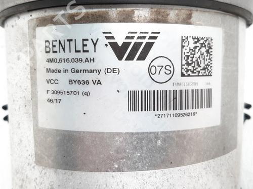 Left front shock absorber BENTLEY BENTAYGA (4V1) 4.0 D | BP19759284M16 