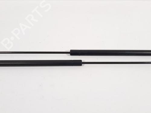 Used Tailgate lift support FORD KUGA I 2.0 TDCi 4x4 (136 hp) 19758599