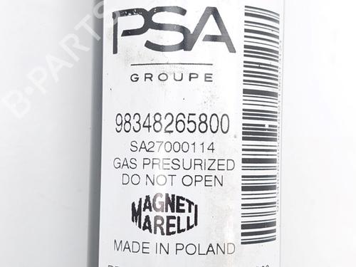 Right rear shock absorber PEUGEOT 208 II (UB_, UP_, UW_, UJ_) e-208 | BP21133964M19 