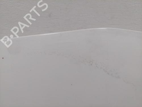 Hood RENAULT KANGOO Express (FW0/1_) 1.5 dCi 75 (FW07, FW10, FW04) | BP29511935C1 