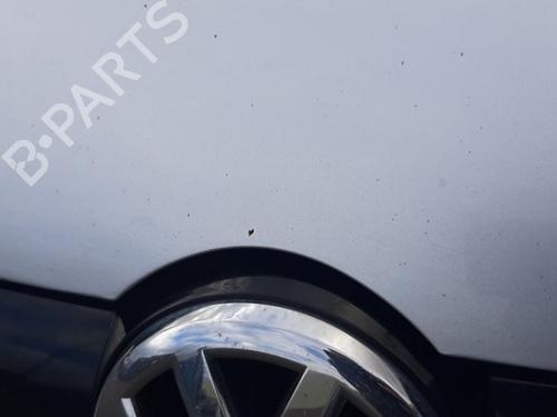 Hood VW POLO V (6R1, 6C1) 1.2 TDI | BP29868598C1
