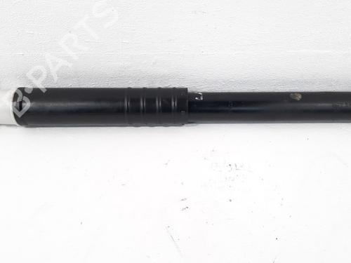 Used Left rear shock absorber RENAULT ZOE Hatchback Van (BFM_) Electric (BFME) (92 hp) 19751244