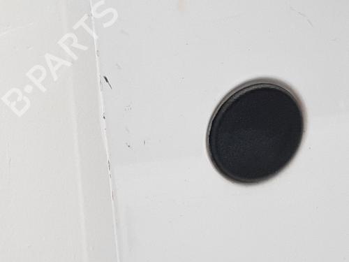 Right front door FORD TRANSIT CONNECT (P65_, P70_, P80_) 1.8 Di | BP19760414C3 