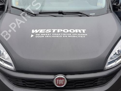 Motorhjelm FIAT DOBLO Cargo (263_) 1.6 D Multijet (263WXD1B, 263WXR1B, 263WXX1B, 263ZXD1B,... (105 hp) 31306844