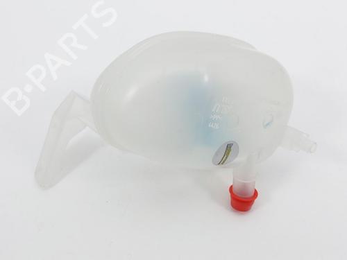 Expansion tank RENAULT MEGANE E-TECH SUV EV60 (BNJ1) | BP32198079C120