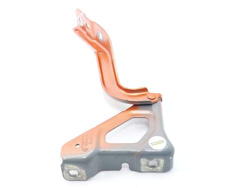 Hinge/Door check strap RENAULT CLIO V (B7_) 1.0 TCe 90 (B7MT) | BP36698504C146 - Image 2
