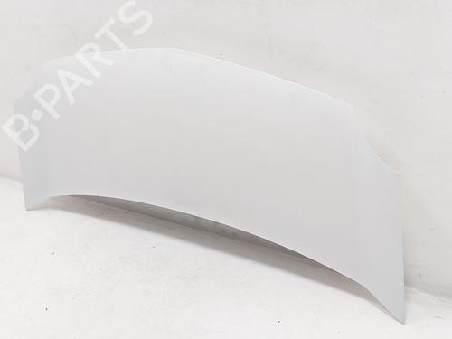 Hood RENAULT KANGOO Express (FW0/1_) 1.5 dCi 75 (FW07, FW10, FW04) | BP29511935C1 