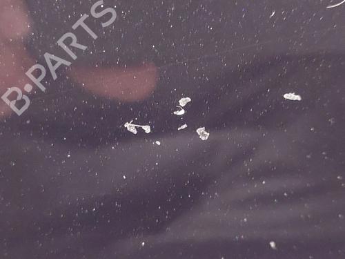 Hood RENAULT TWINGO III (BCM_, BCA_) 1.0 SCe 70 | BP27726932C1