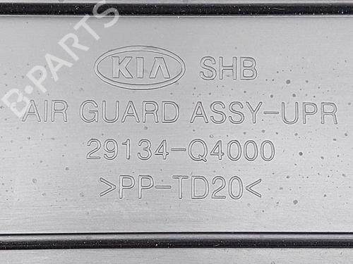 Pipe KIA NIRO I (DE) E-NIRO | BP31259789M125 - Image 3